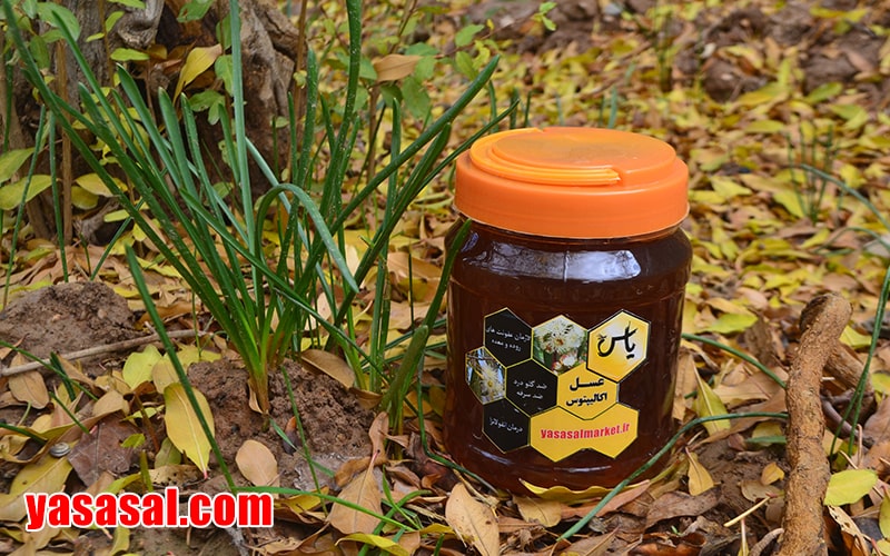 عسل طبیعی اکالیپتوس